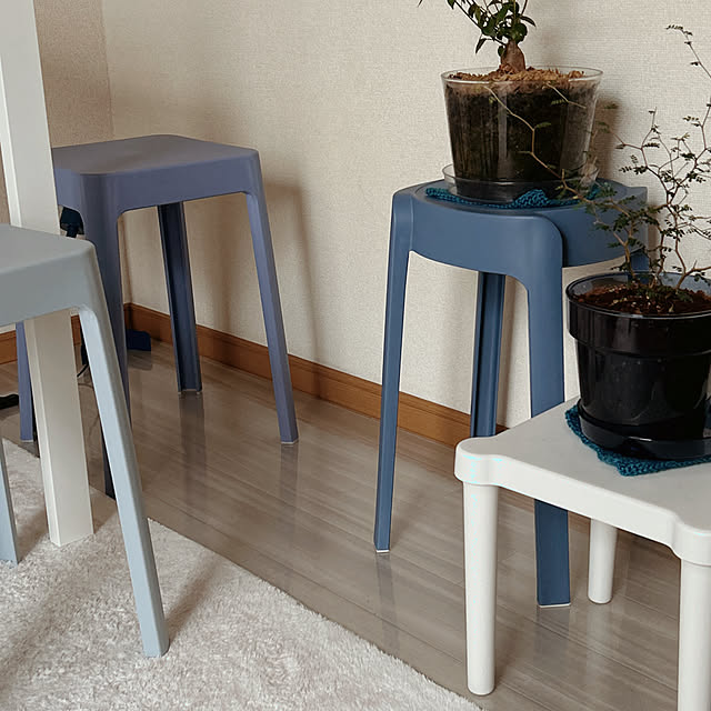 ruuuさんの実例写真