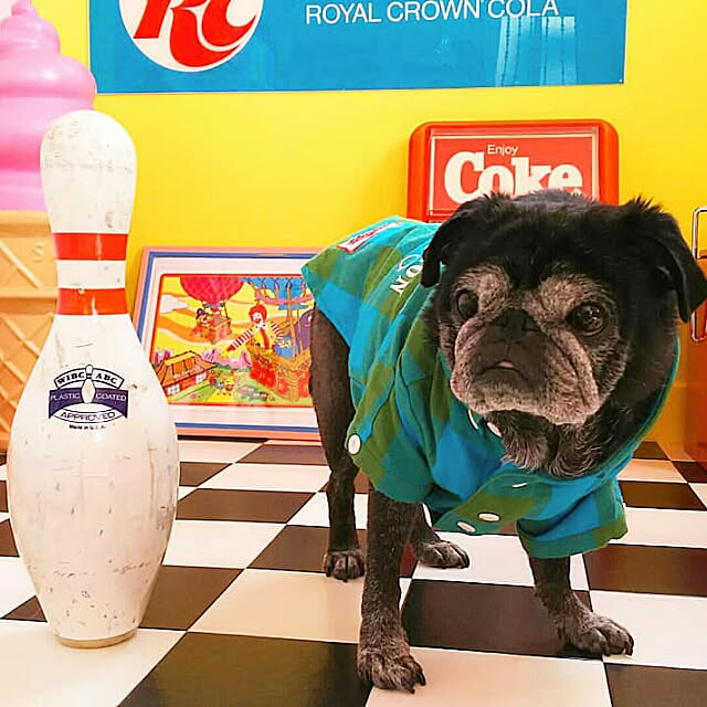 kuupugさんの実例写真