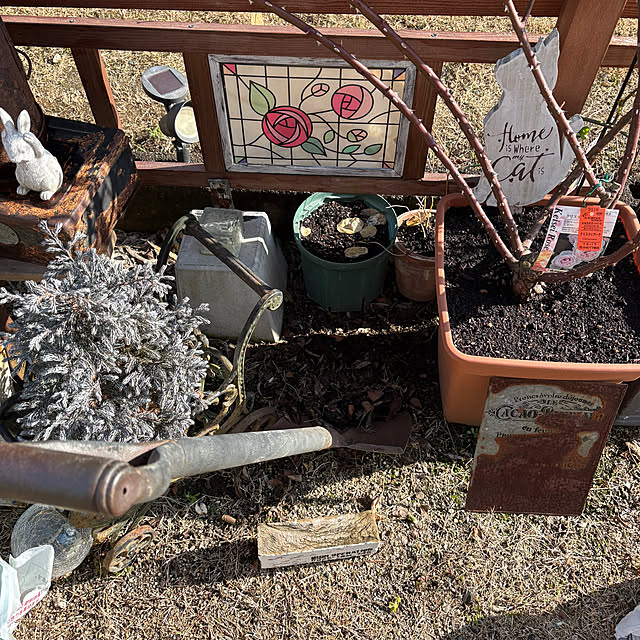 mayumiさんの部屋