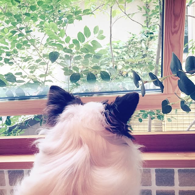hana729さんの実例写真