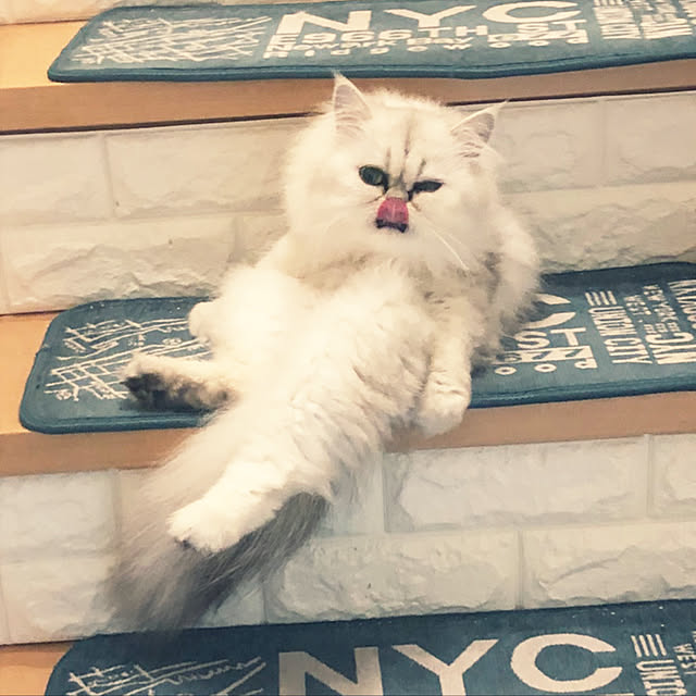 ryushinさんの実例写真