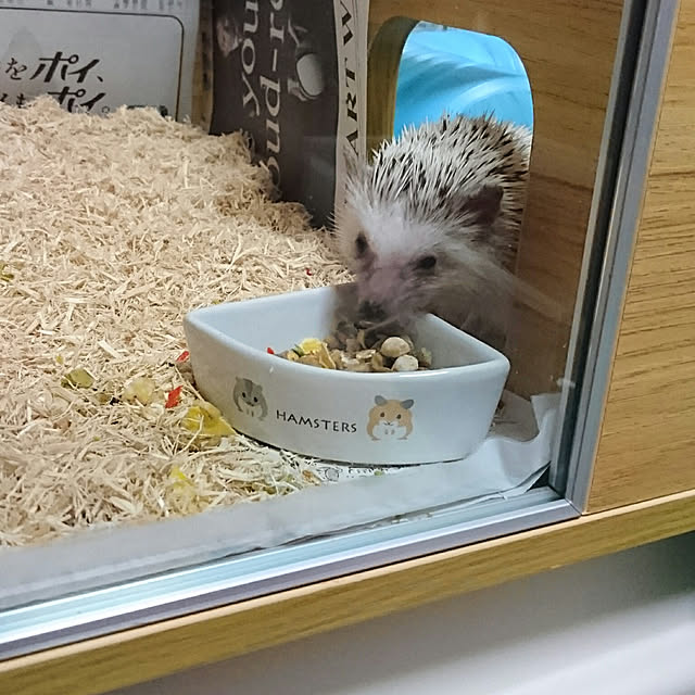 Reikomさんの実例写真