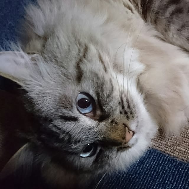 hiroさんの実例写真