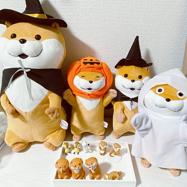 asakaさんの実例写真