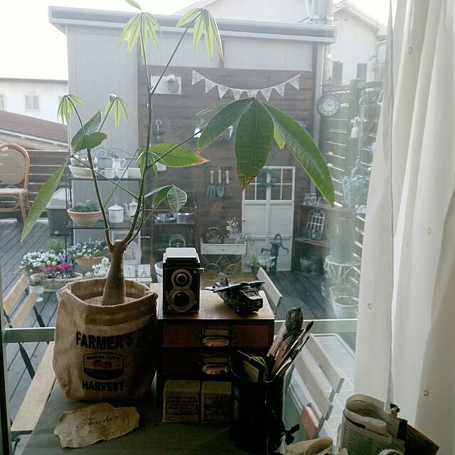 and-Nさんの実例写真