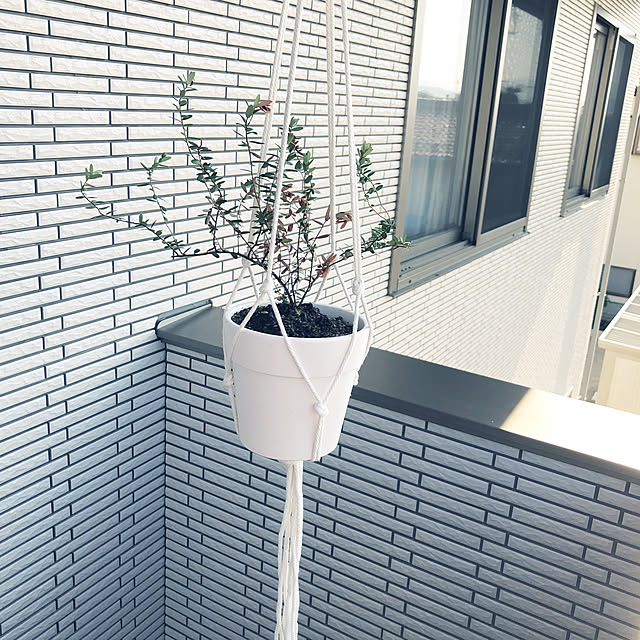 yunyumさんの実例写真