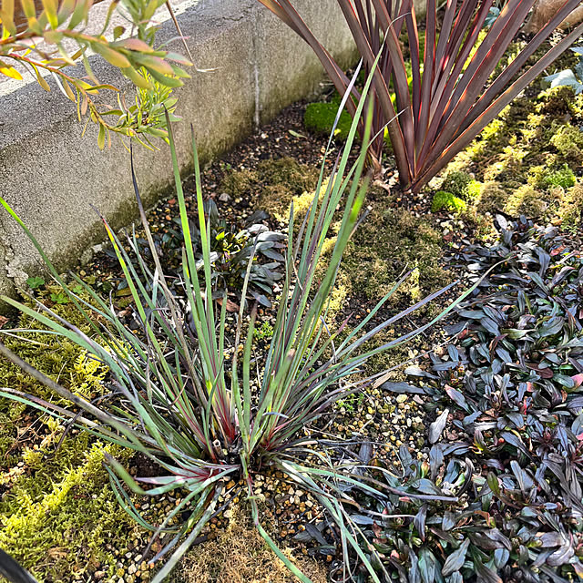 kyoko1124koさんの部屋