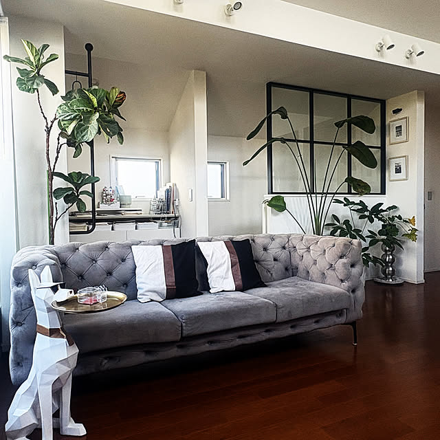 rinatorarancooさんの部屋