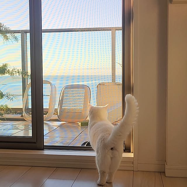 tomatoさんの実例写真