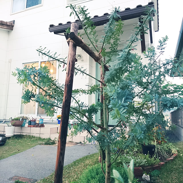 hiroさんの実例写真