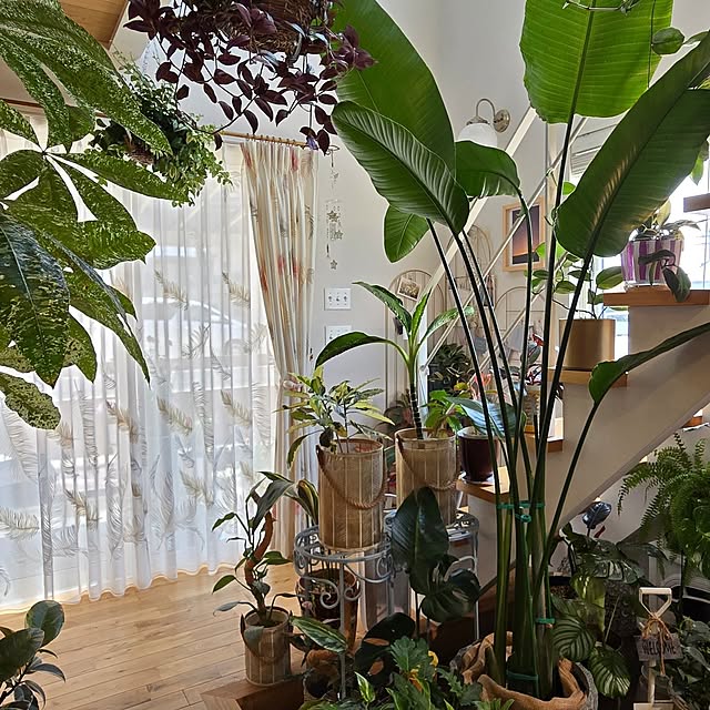 nonbiri_house_さんの部屋