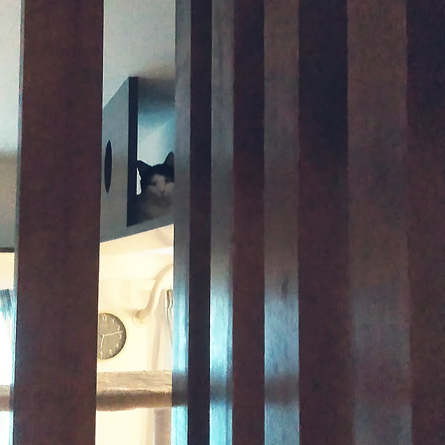 futukoさんの実例写真