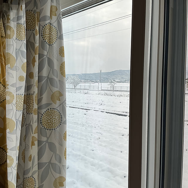 chiiyanさんの部屋