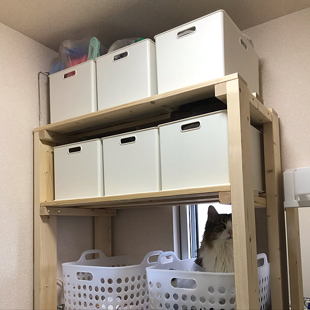 yumi9loさんの実例写真