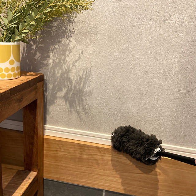 ha_ru76さんの実例写真
