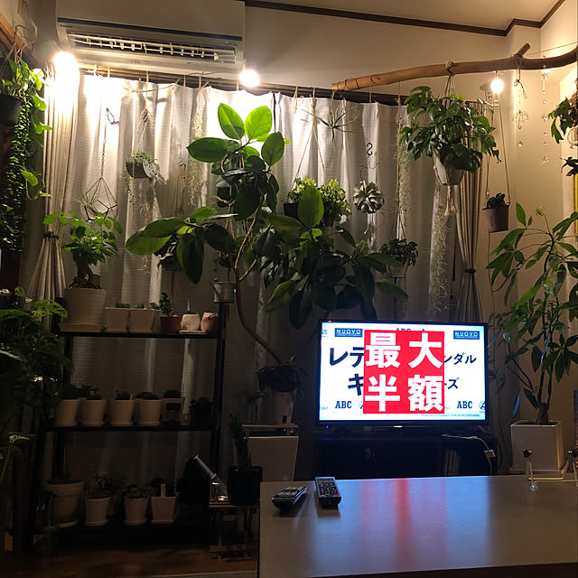 tonyさんの実例写真