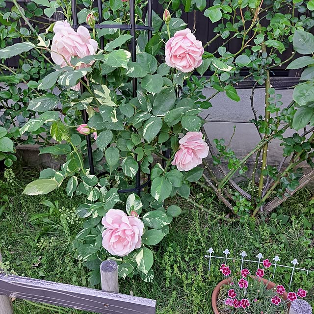 exileingkさんの部屋