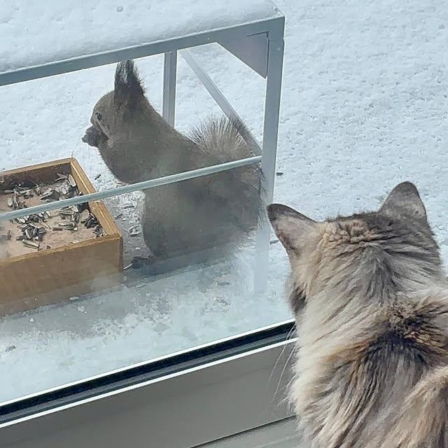 NorthForestさんの実例写真