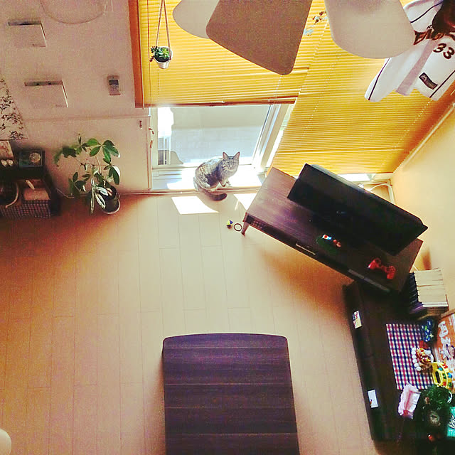 takami0501さんの実例写真