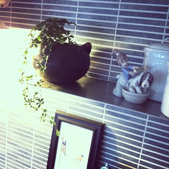 ringさんの実例写真