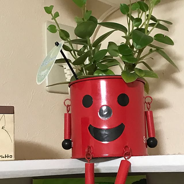 棚/観葉植物/雑貨のインテリア実例 - 2017-05-16 22:42:31