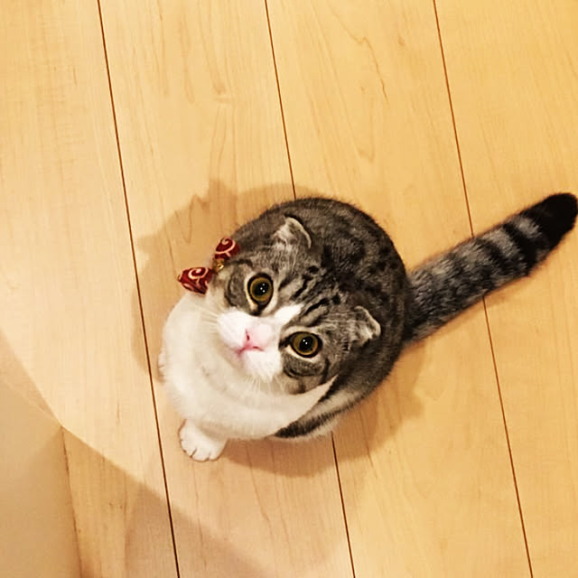 yukimura1005さんの実例写真