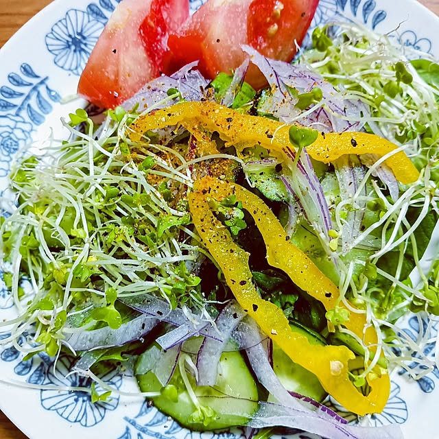 hanachanさんの部屋