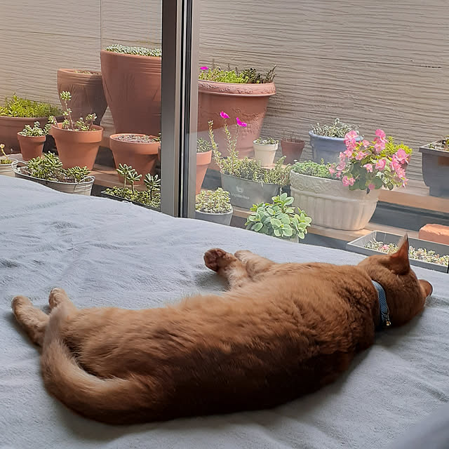 amtさんの実例写真
