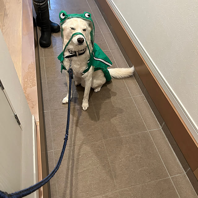 tanboさんの実例写真