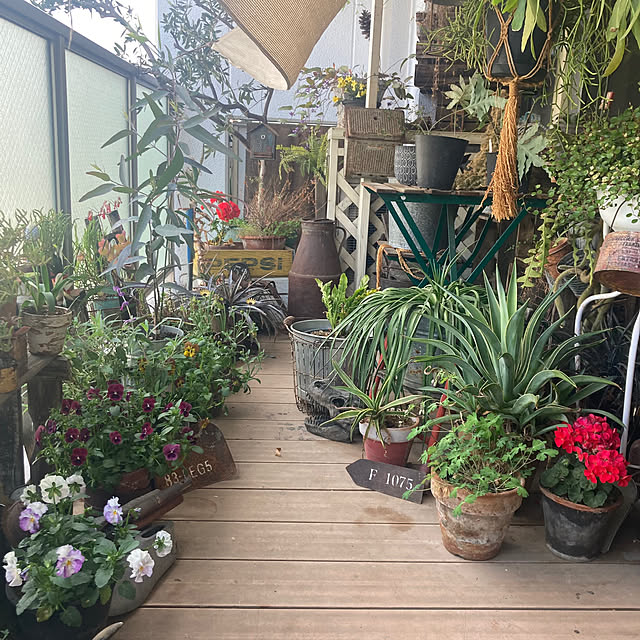 izumiさんの部屋