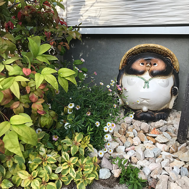 mamemamさんの実例写真