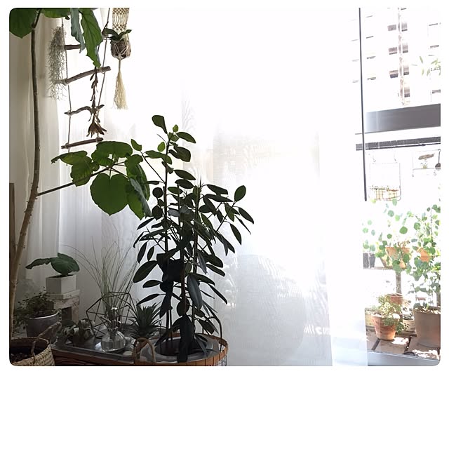 Hisayoさんの実例写真