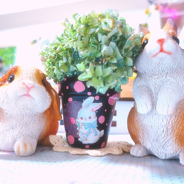 mariaさんの実例写真