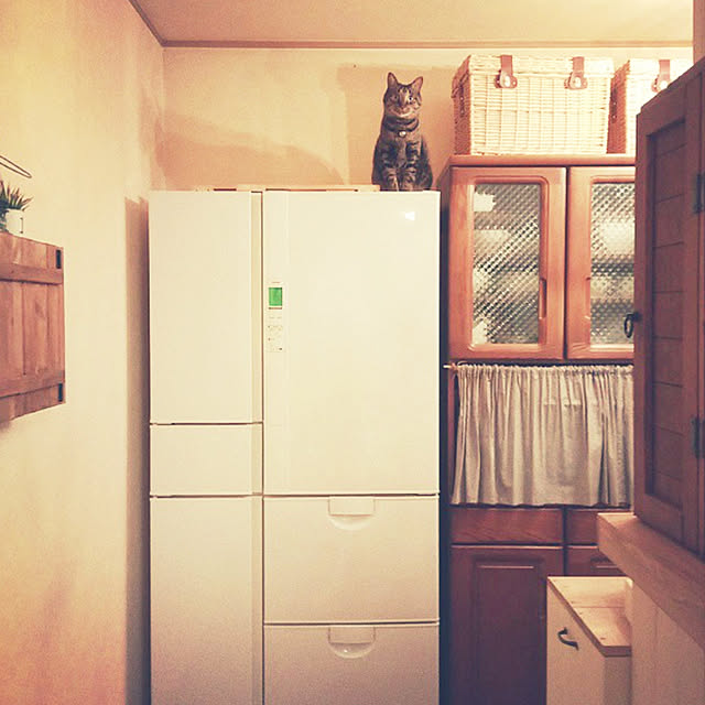 chichichiさんの部屋