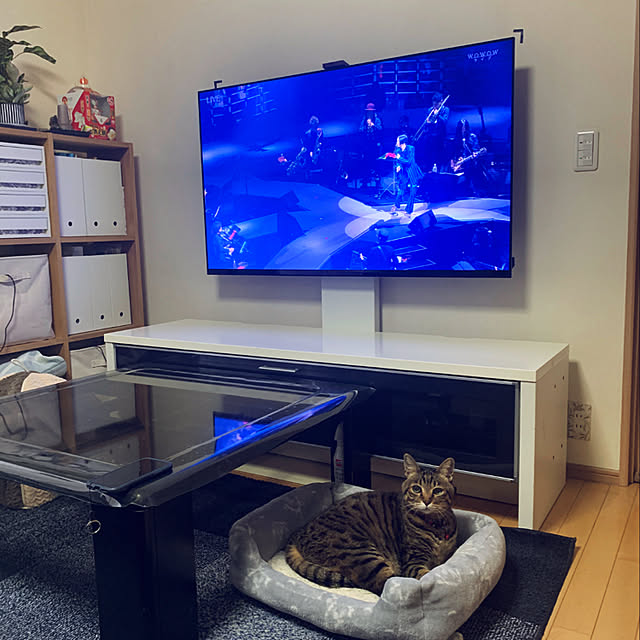 壁掛けテレビ SONY BRAVIAのおすすめ商品とおしゃれな実例 壁掛けテレビ SONY BRAVIAのおすすめ商品とおしゃれな実例