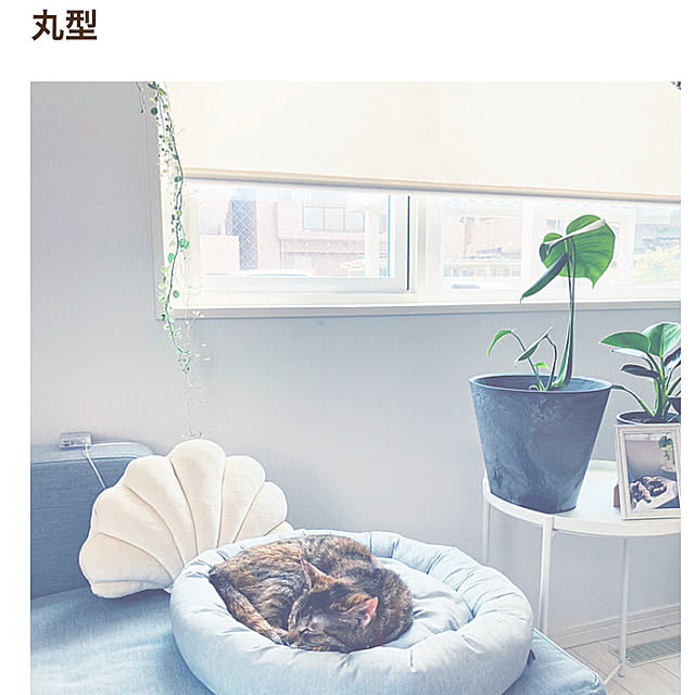 minminさんの実例写真