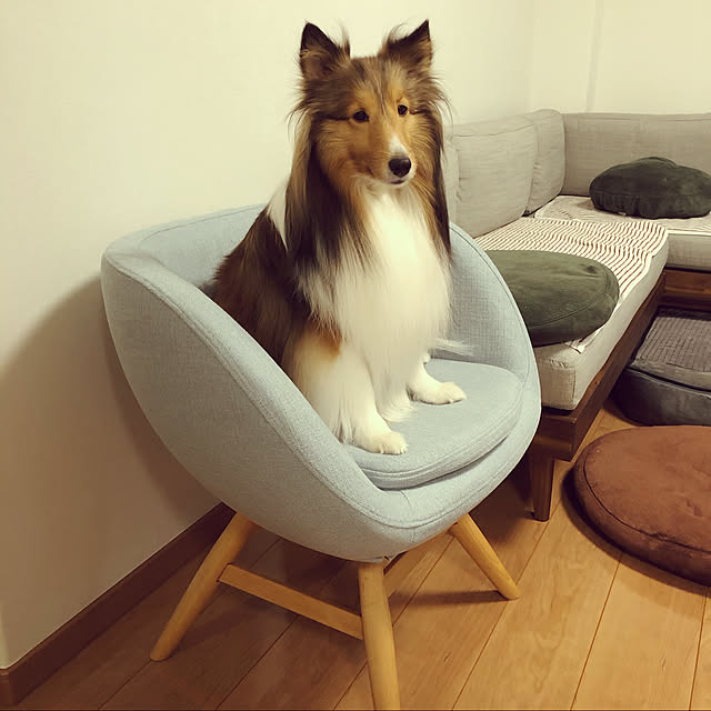 yomokuruさんの実例写真