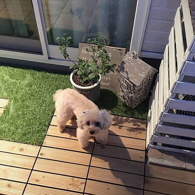 akko1205さんの実例写真