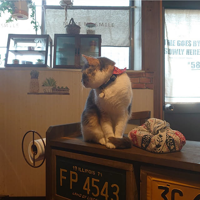 fukuさんの実例写真
