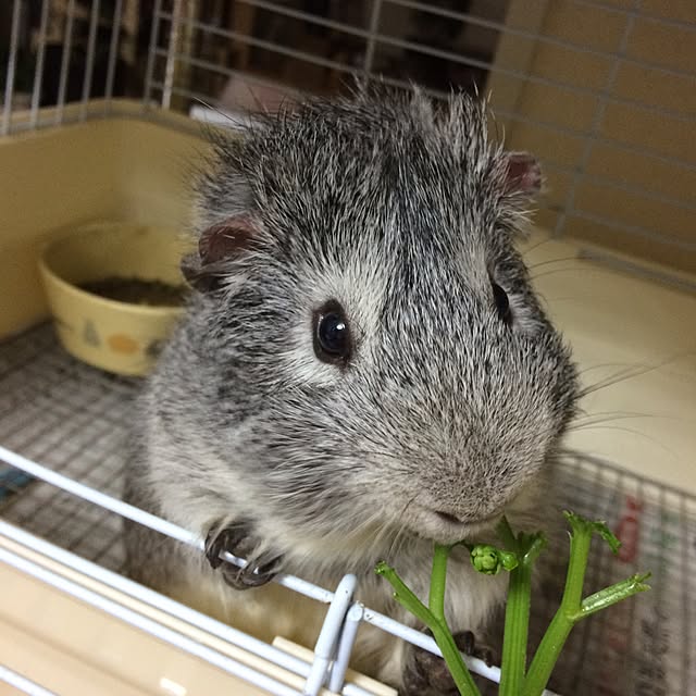 machiさんの実例写真