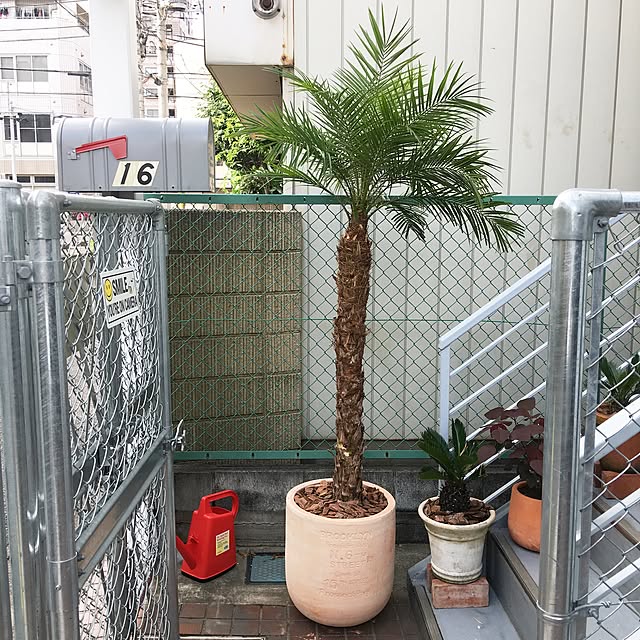 sariboooさんの実例写真