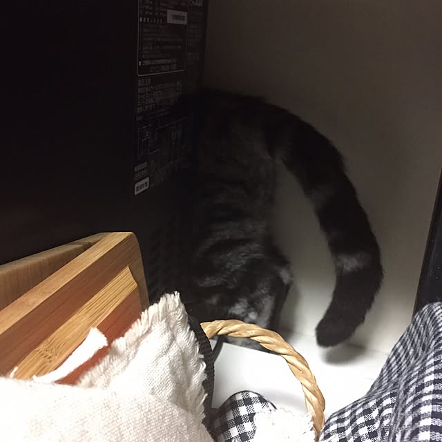 haruさんの実例写真