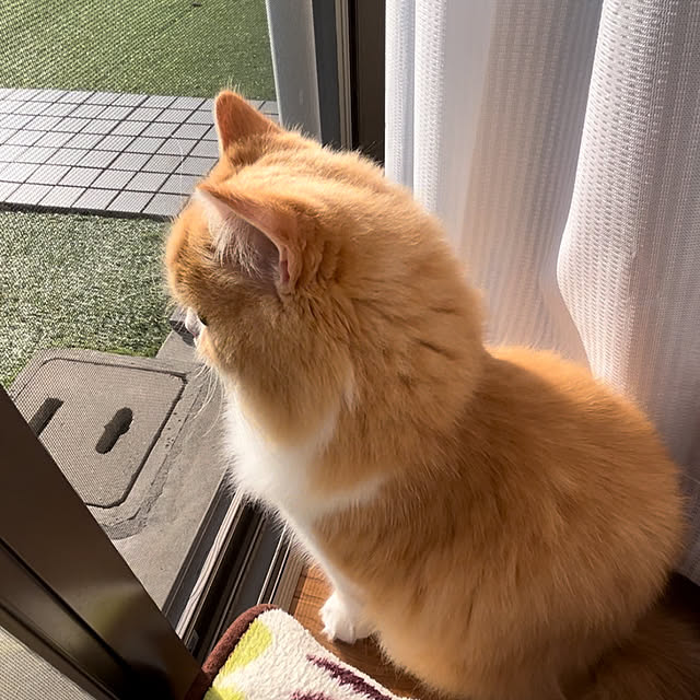 junさんの部屋