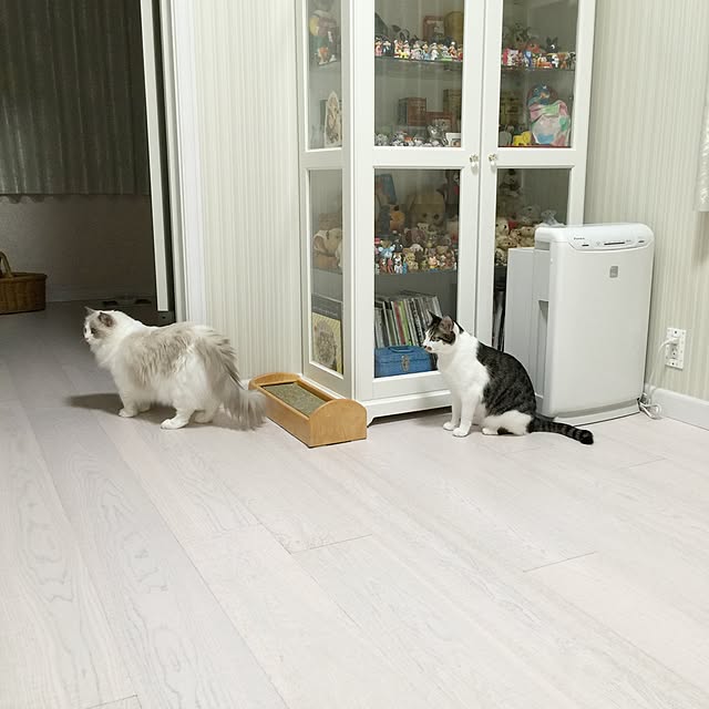 yuchiさんの実例写真
