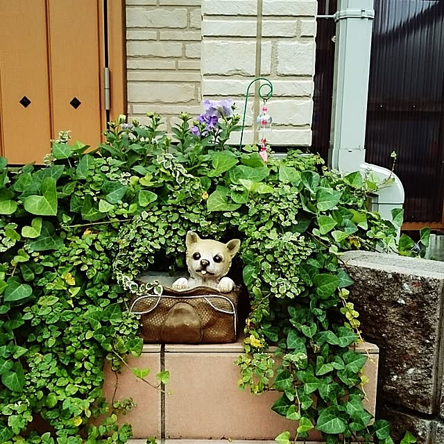 bitsさんの実例写真