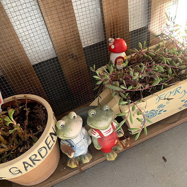 Fumiさんの部屋