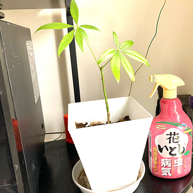 MOMOMAMAさんの実例写真