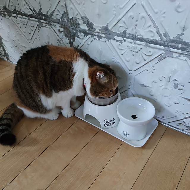 hiro3さんの実例写真