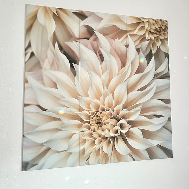 chiroさんの部屋