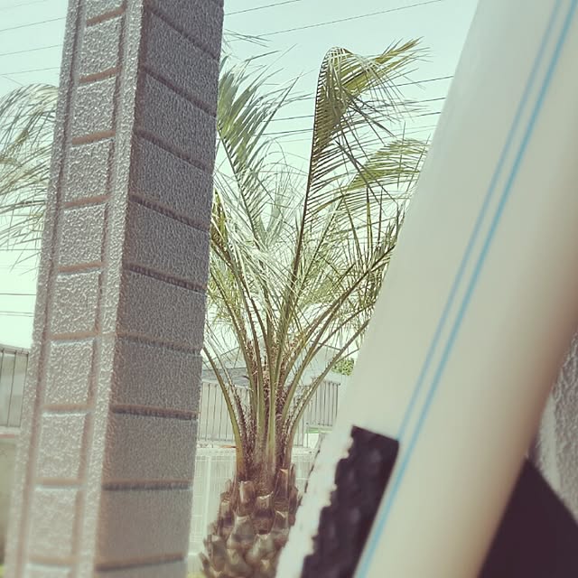 mocobeachさんの実例写真